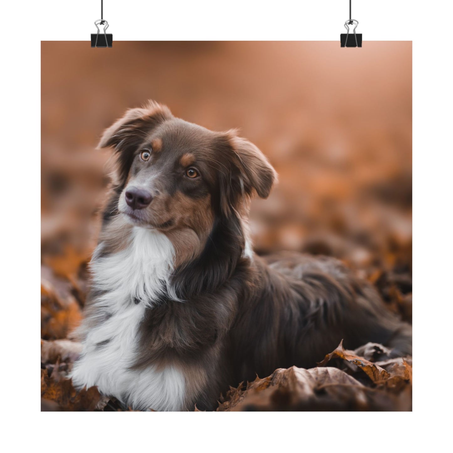 Dog Forest Matte Vertical Posters, Dog Lover Decor, Rustic Home Art, Pet Memorial, Animal Portrait Art, Customize your Poster