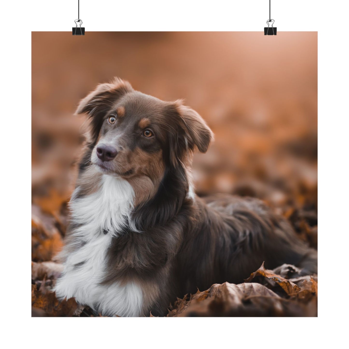 Dog Forest Matte Vertical Posters, Dog Lover Decor, Rustic Home Art, Pet Memorial, Animal Portrait Art, Customize your Poster